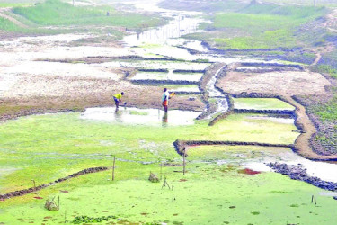 খননেও পানি নেই নদীতে