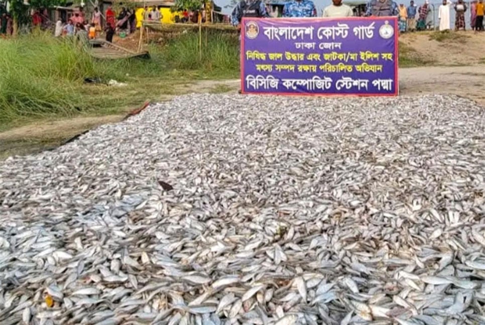 মুন্সীগঞ্জে ২০ লাখ টাকার জাটকা জব্দ