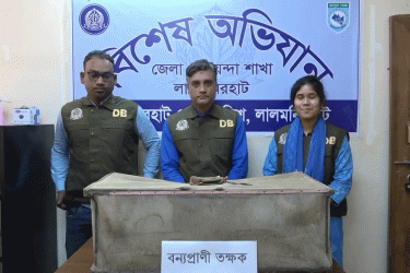লালমনিরহাটে ডিবির অভিযানে তিনটি তক্ষক উদ্ধার