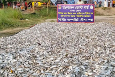 মুন্সীগঞ্জে ২০ লাখ টাকার জাটকা জব্দ