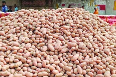 আলুর গন্তব্য দক্ষিণ এশিয়া