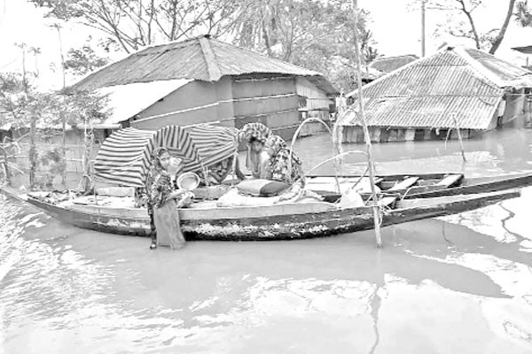 বিপর্যস্ত উপকূল, বিপন্ন প্রকৃতি