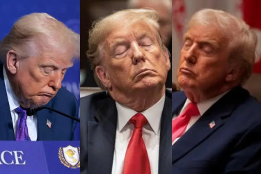 ‘কমান্ডার-ইন-স্লিপ’