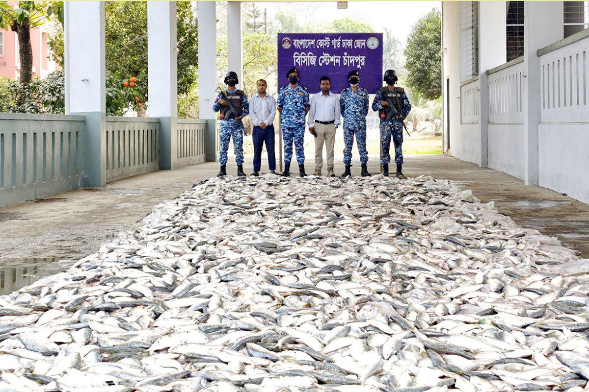 চাঁদপুরে ১২৭ মণ জাটকা জব্দ, ১০ জেলের কারাদণ্ড