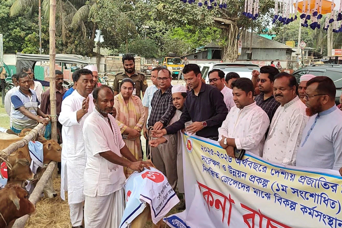 কোটালীপাড়ায় বিকল্প কর্মসংস্থানের লক্ষ্যে মৎস্যজীবীদের মাঝে বকনা বাছুর বিতরণ