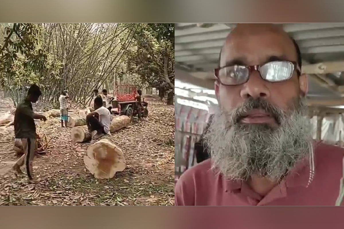 চুয়াডাঙ্গায় গাছ চুরির মামলায় ৪ আসামি কারাগারে