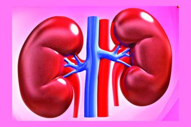 ইমোশনাল ডোনারে বিপত্তি