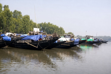 ১০ মাসের অভিযানে সুন্দরবনে ৩৬২ অপরাধী আটক