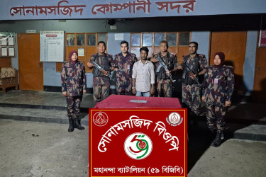 সোনামসজিদ স্থলবন্দরে দুইটি স্বর্ণের বারসহ একজন আটক