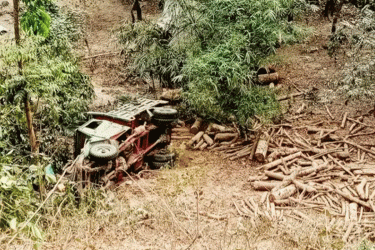 বান্দরবানে কাঠবোঝাই ট্রাক খাদে পড়ে নিহত ২