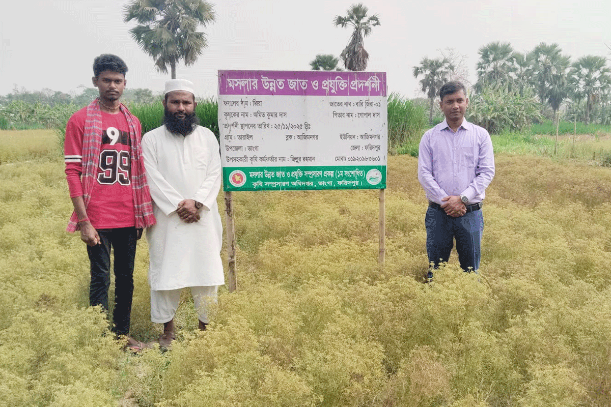 ভাঙ্গায় প্রথম জিরা চাষ, ফলনে খুশি কৃষক