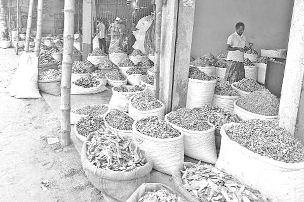 নানা সমস্যা শুঁটকি বন্দরে