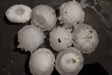 ঠাকুরগাঁওয়ে শিলাবৃষ্টি, ফসলের ব্যাপক ক্ষতির শঙ্কা