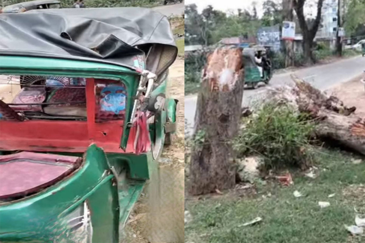 বড়লেখায় অটোরিকশায় গাছ পড়ে প্রাণ গেল নারীযাত্রীর