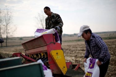 শুধু জ্বালানি নয়: ইরান যুদ্ধ যেভাবে বৈশ্বিক খাদ্য সংকট তৈরি করতে পারে