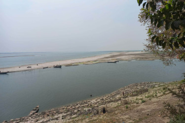 পদ্মায় নতুন নতুন চর জেগেছে