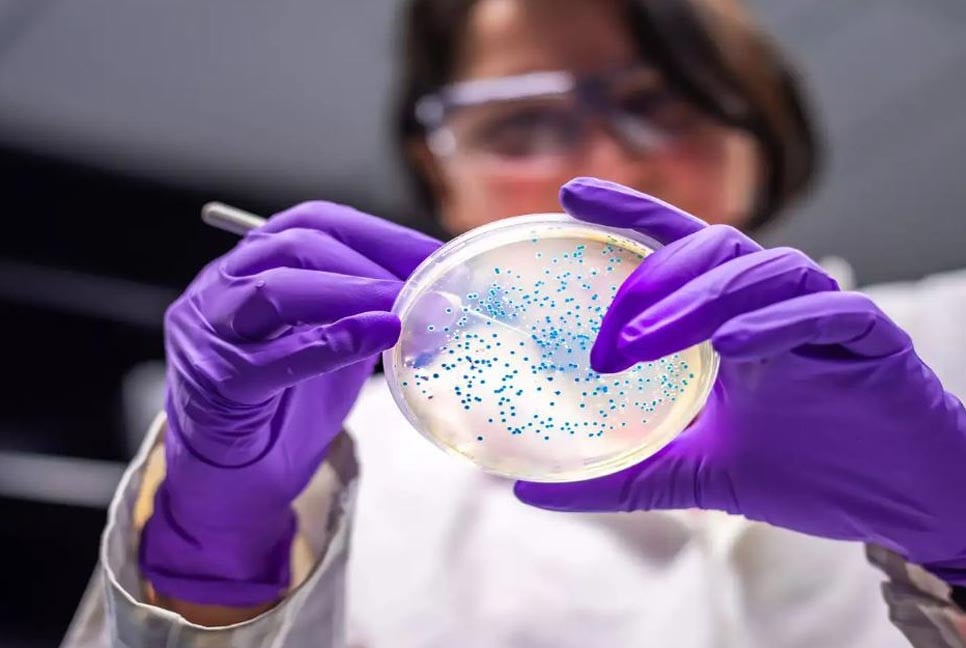 বিজ্ঞানীদের সন্ধানে প্লাস্টিকখেকো ব্যাকটেরিয়া