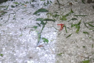 নীলফামারীতে মধ্যরাতে শিলাবৃষ্টিতে ব্যাপক ক্ষয়ক্ষতি
