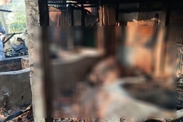 কয়েলের আগুনে দগ্ধ হয়ে মারা গেছে ৩ গরু, নিঃস্ব কৃষক
