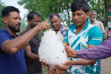 ঝিনাইদহে বেগুন ক্ষেতে মিলল অস্বাভাবিক বড় শিলাখণ্ড