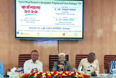 'গমের উৎপাদন বাড়াতে হবে'