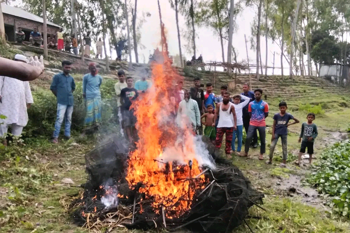 গাইবান্ধায় অভিযানের পর চায়না দুয়ারি জাল পুড়িয়ে ধ্বংস