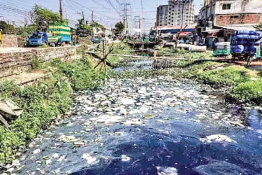 মশা থেকে রক্ষার ভূমিকা রাখলেই পুরস্কার
