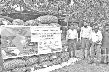 মালয়েশিয়া নেপাল যাচ্ছে আলু