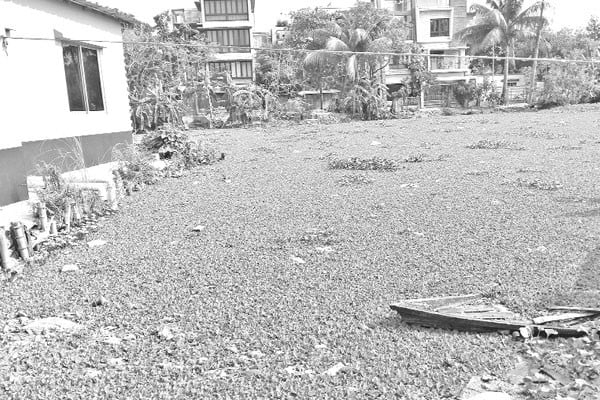 বাঁচানো যাচ্ছে না জলাধারটি