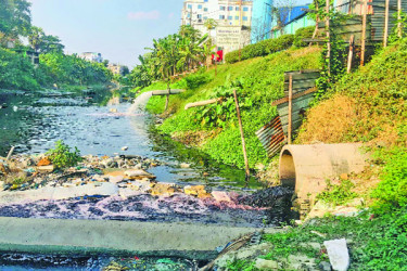 বর্জ্যে দূষিত মেঘনা শীতলক্ষ্যায় মরছে  মাছ, বাড়ছে ঝুঁকি