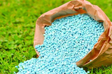 সারের নীতিমালা নিয়ে বিতর্ক ও উদ্বেগ