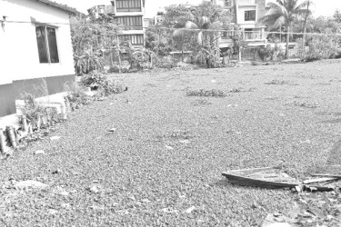 বাঁচানো যাচ্ছে না জলাধারটি