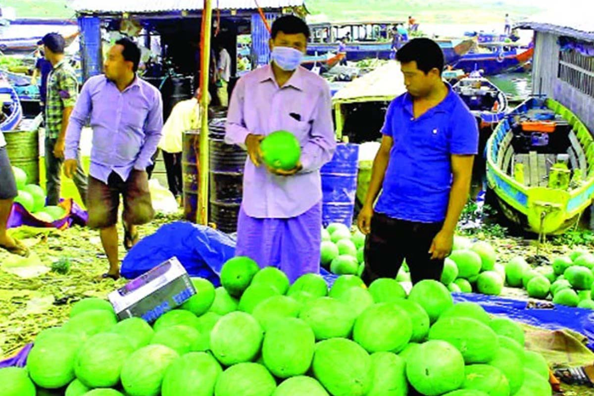 স্বাদে-মানে অনন্য পাহাড়ের তরমুজ