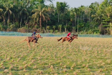 ঝালকাঠির কাঠালিয়ায় ঐতিহ্যবাহী ঘোড়দৌড় প্রতিযোগিতা