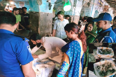 ব্রাহ্মণবাড়িয়ায় ৬০ কেজি জেলিযুক্ত চিংড়ি মাছ ধ্বংস