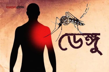 ২৪ ঘণ্টায় ডেঙ্গু আক্রান্ত হয়ে হাসপাতালে ভর্তি ৩০