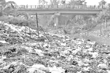 করাঙ্গী নদী এখন মরা খাল