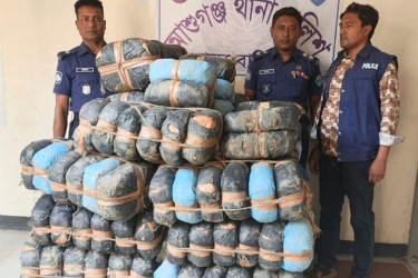 আশুগঞ্জে ১৯৫ কেজি গাঁজা উদ্ধার, প্রাইভেটকার জব্দ