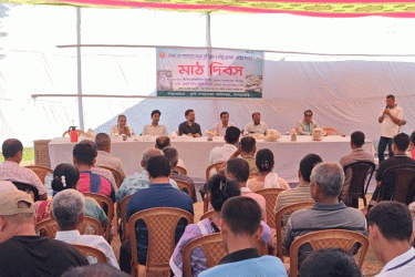 খাগড়াছড়িতে মাশরুম চাষে উদ্বুদ্ধ করতে মাঠ দিবস
