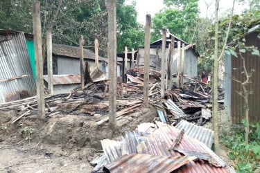 গাইবান্ধায় অগ্নিকাণ্ডে গরুসহ বসতঘর পুড়ে ছাই
