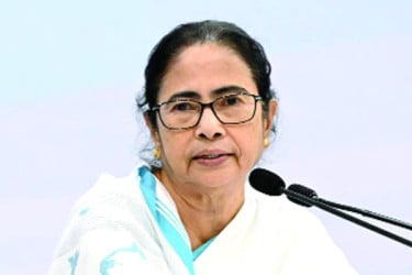 বিজেপি মিথ্যা প্রচার করে ছোবল মারতে চায় : মমতা