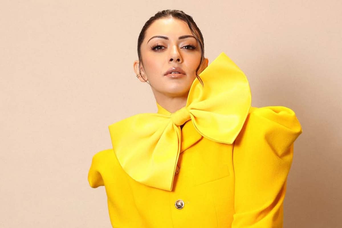 ফের পারিবারিক ঝামেলায় জড়ালেন হানসিকা, ভাইয়ের সাবেক স্ত্রীর বিরুদ্ধে মানহানির মামলা