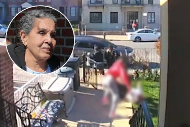 কুকুরের বিষ্ঠা পরিষ্কার করতে বলায় বৃদ্ধাকে মারধর, অভিযুক্ত তরুণীকে খুঁজছে পুলিশ