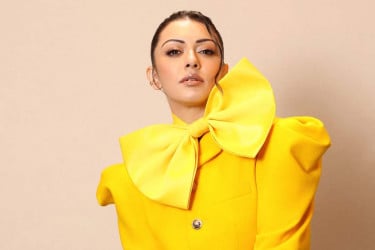 ফের পারিবারিক ঝামেলায় জড়ালেন হানসিকা, ভাইয়ের সাবেক স্ত্রীর বিরুদ্ধে মানহানির মামলা