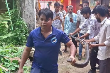 চবিতে ১২ ফুট লম্বা কিং কোবরা সাপ উদ্ধার