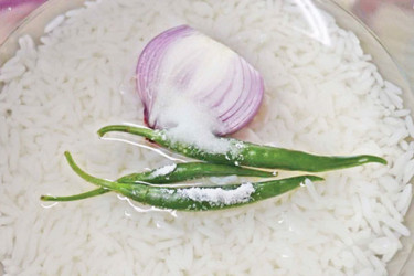 চ্যাটজিপিটির পান্তাভাতের রেসিপি