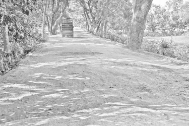 এক দশক বেহাল ১২ কিমি