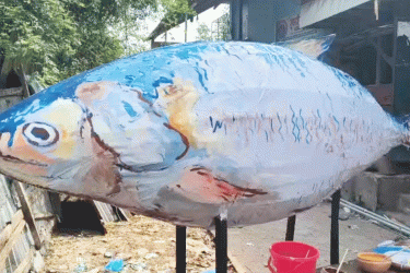 পহেলা বৈশাখ উদযাপন: কলাপাড়ায় তৈরি হচ্ছে বিশাল ইলিশের প্রতিকৃতি