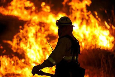 বনানীতে বহুতল ভবনে আগুন