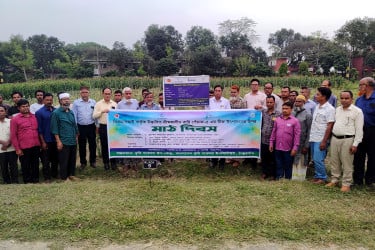 ঠাকুরগাঁওয়ে বারি পেঁয়াজ-৫ বীজ উৎপাদনে মাঠ দিবস অনুষ্ঠিত